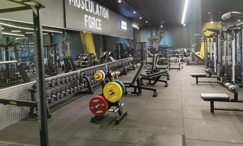 Gạch cao su phòng GYM ErgoFloor khu vực tập