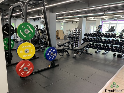 Dự án phòng GYM thảo điền, phân khu tập tạ nặng