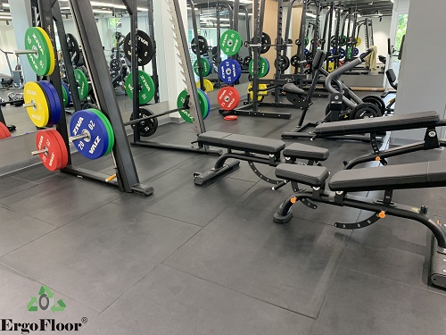 Dự án phòng GYM thảo điền, phân khu tập tạ nặng