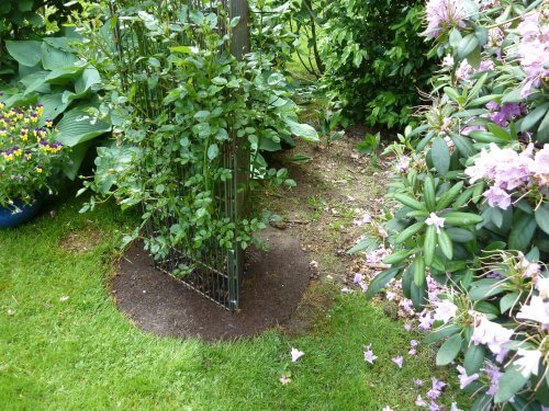 Gạch tree ring chăm sóc vườn